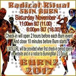 Radical Ritual SKIN BURN! Saturday November 4th