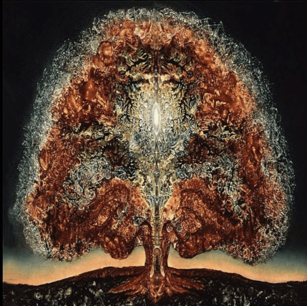 DJ Med Oh @ Organica Camp