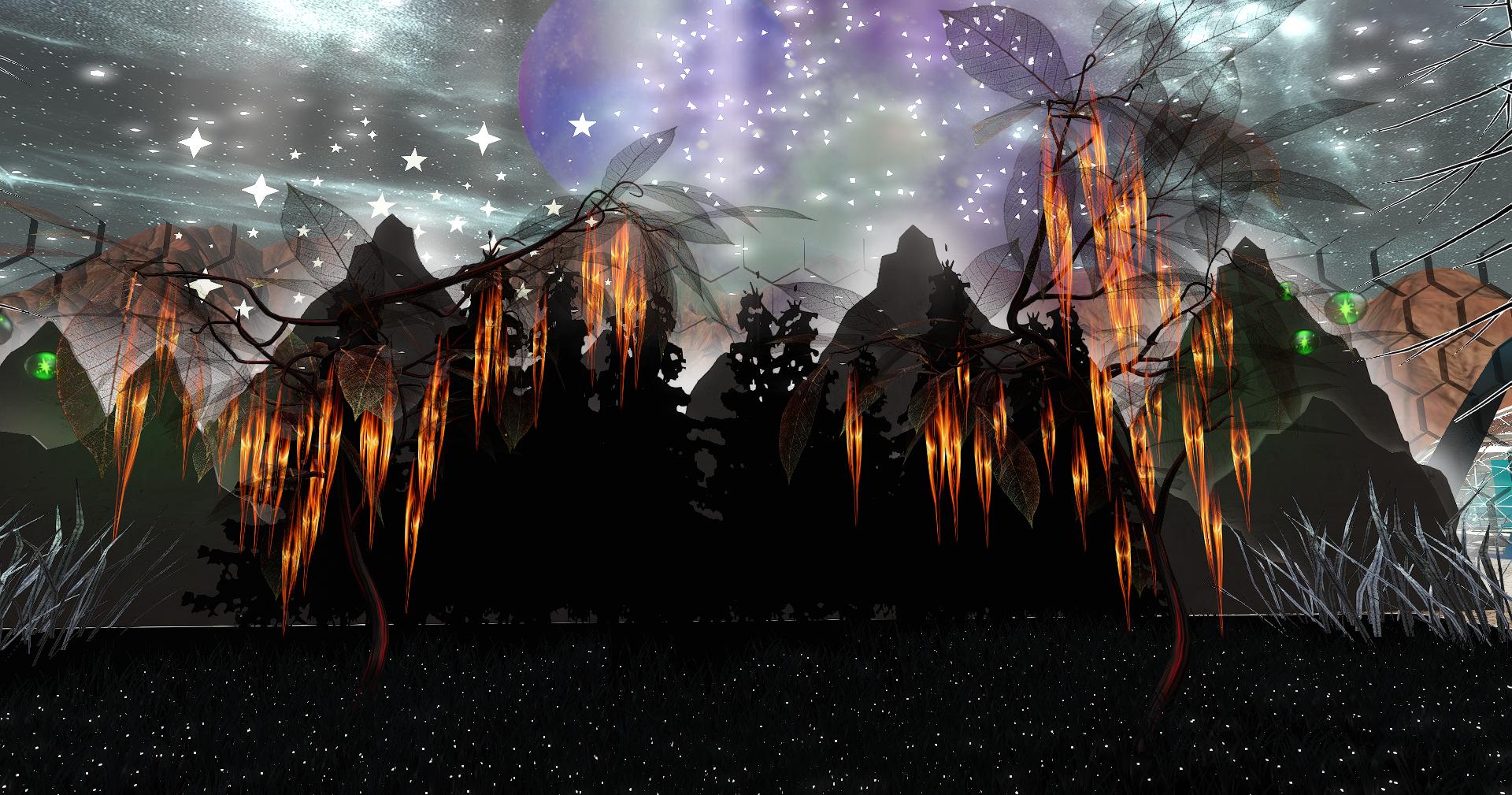 Forest of the Forgotten Stars