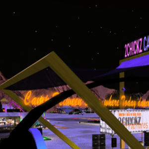 2CH!CKZ Camp Between Days